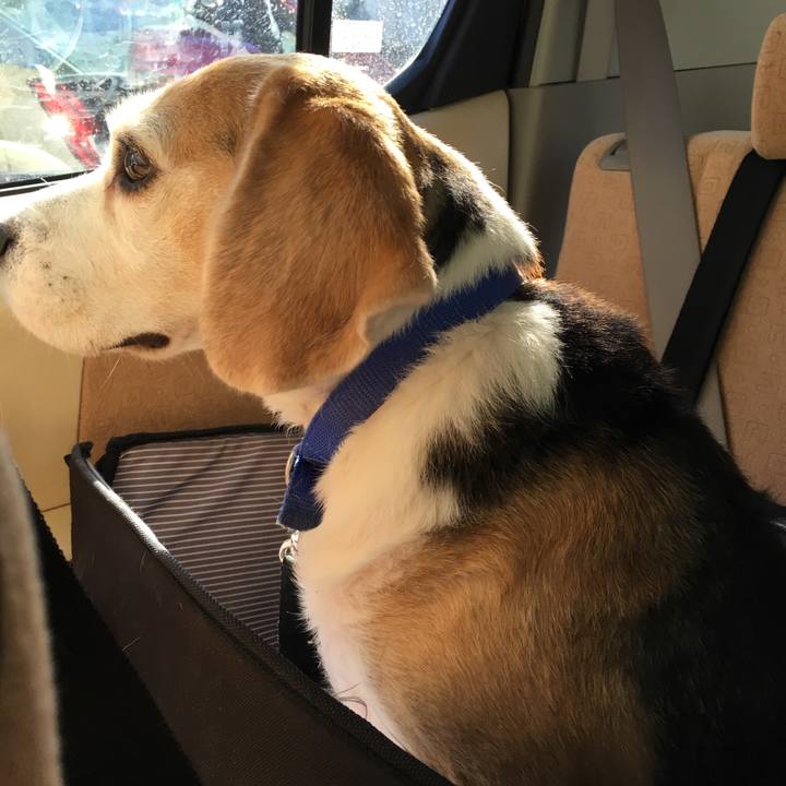 5a9bf8d5 f630 4ef7 ad2c 248a43b0dba2