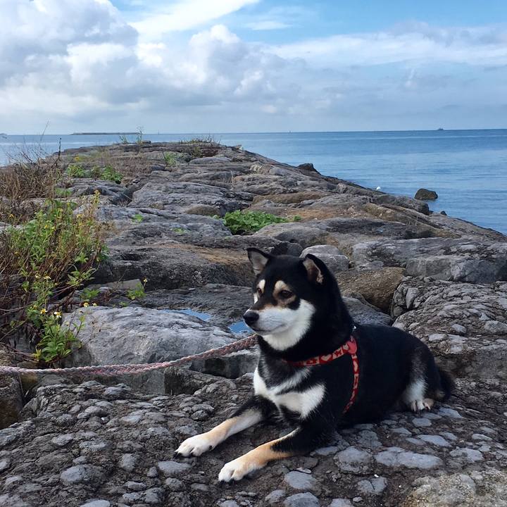 5a9c2402 df9c 4cc7 bfef 2a47ad64a161