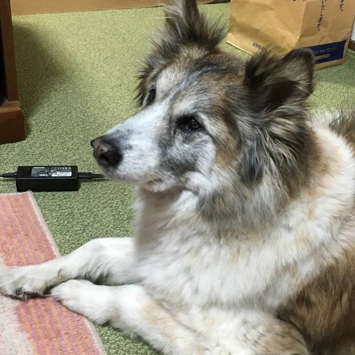 5a9c3193 1130 400f 9a52 edeeba3ee5cc