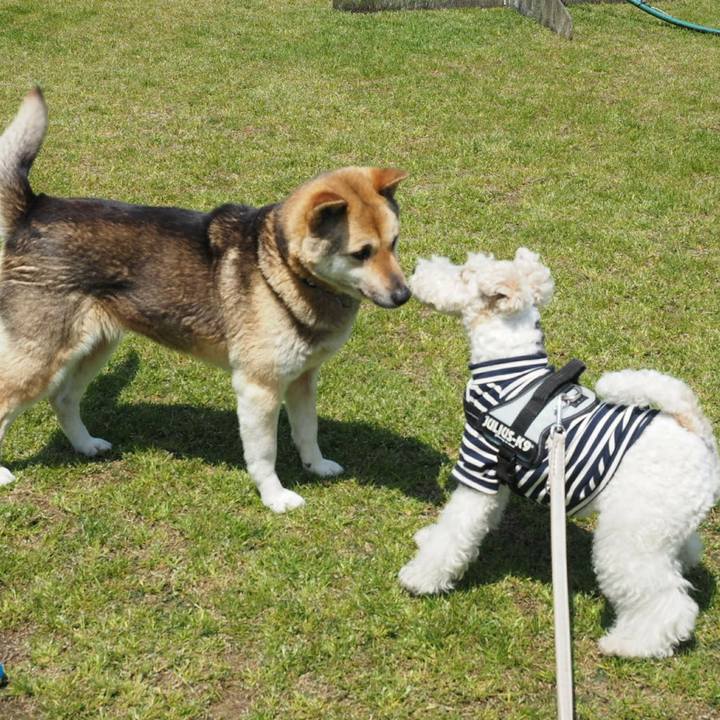 5a9cc72b 24d2 4128 801c b0dea7e97b33