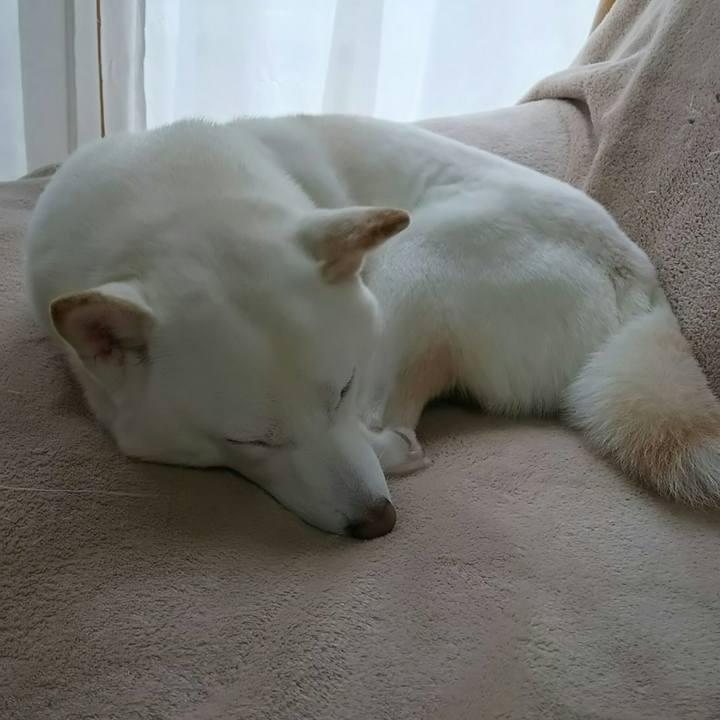 5a9cfe6a e83c 495c 9de5 4df8539a9298