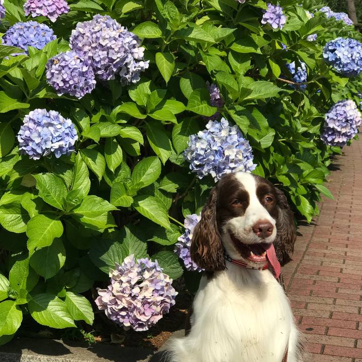 5a9d7451 21da 4da6 b77a 210b60b0daad