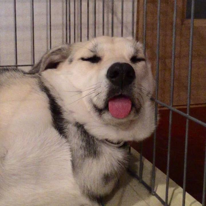 5a9dc1a9 d5f9 4416 ab08 0b48bba80cfa