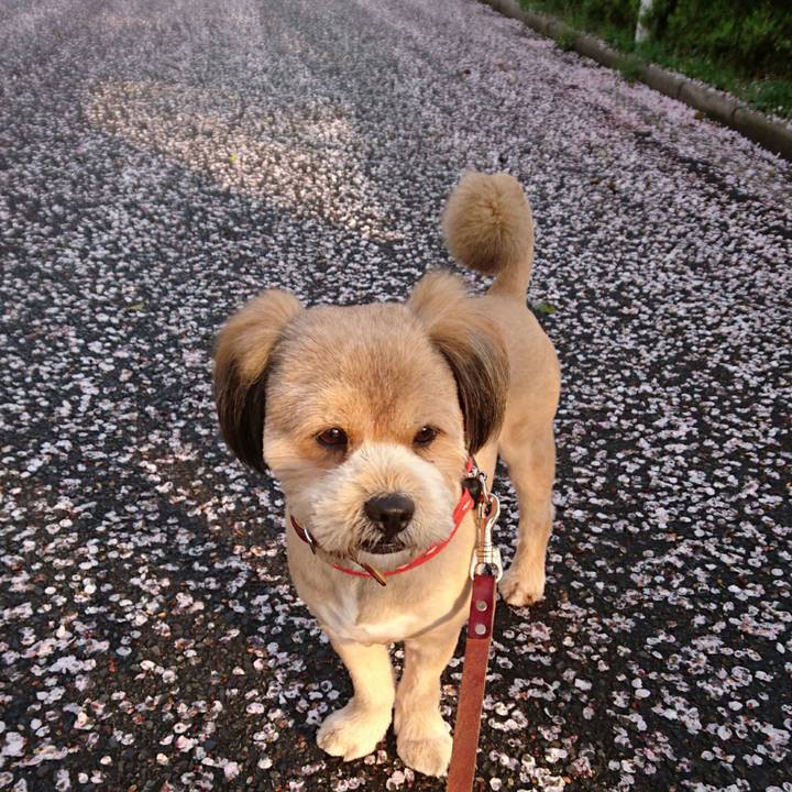 5a9dcfe7 163f 4889 88da 1617fe813992