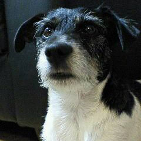 5a9e234d 654c 4dac 8bee 3f7de2cf5e7d