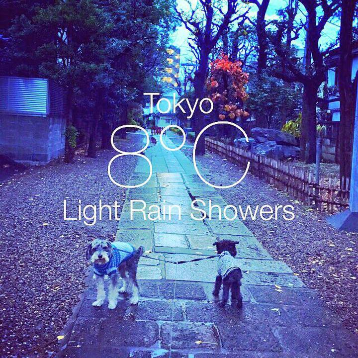 5a9e6b2a fb8c 47a4 865f 6c00c188300d