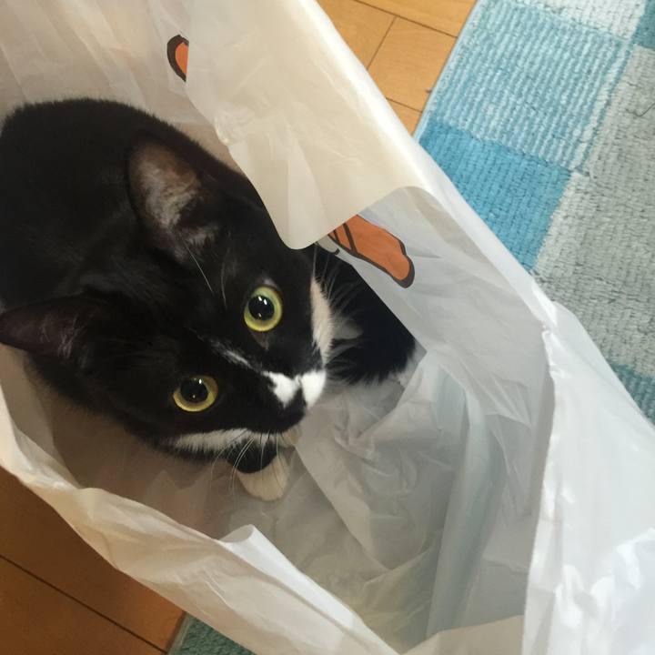 5a9ec76e 643d 4e11 8057 252ac13e2a19