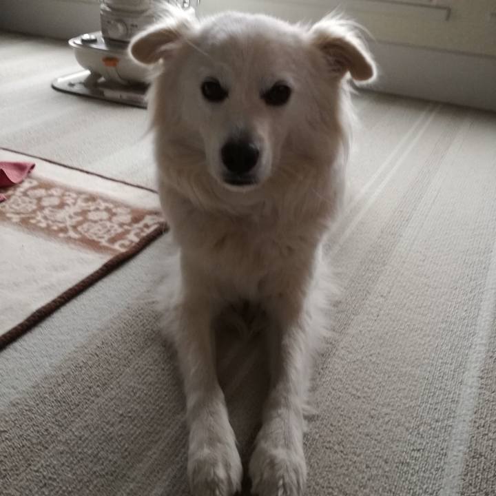 5a9ed738 a583 459f ba1b c2ee90e74698