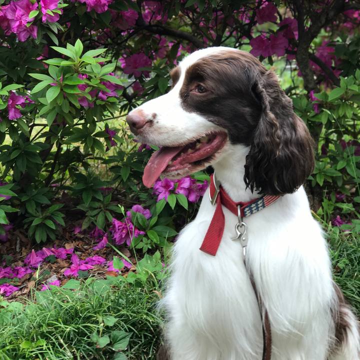 5a9ee77a f93f 429d 924f 1a56d7d76a0b