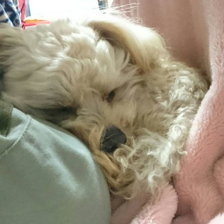 5a9eeb29 138c 4428 b873 5dddea7b960c