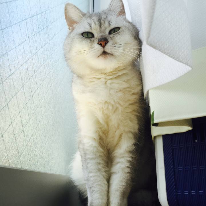 5a9f43b9 1f1f 4b77 87cc be2be97025ee