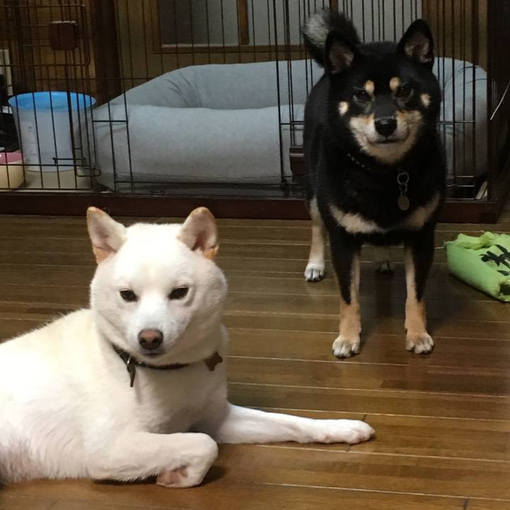 5a9f90cd 3ee7 42e4 a3e1 684e29619991