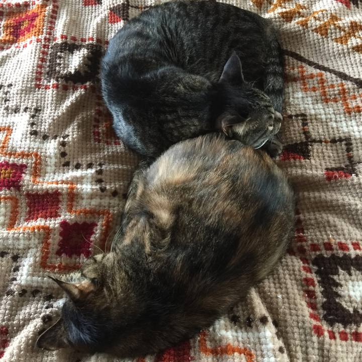 5aa00c48 4d21 4ea9 a4b6 e919ee59f260