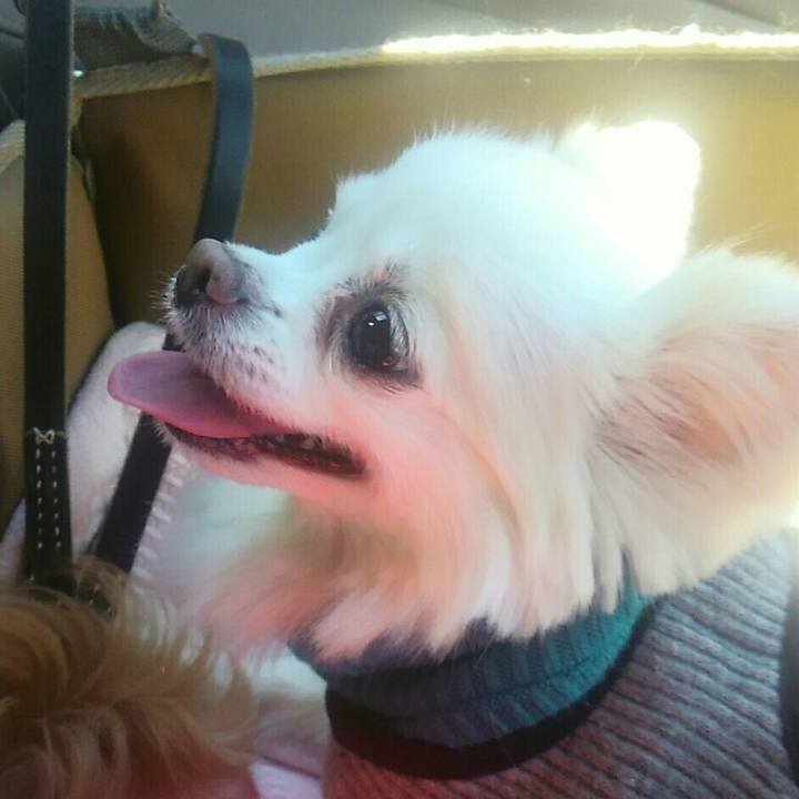 5aa04a1b db2a 4dd5 8bcf 476e085dc033