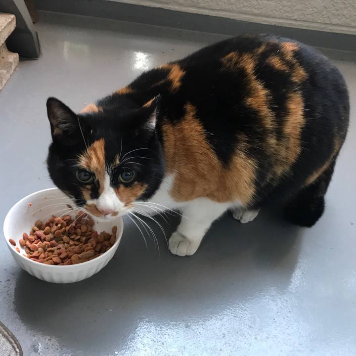 5aa05433 2b87 4159 a21b 5bb6186f683d