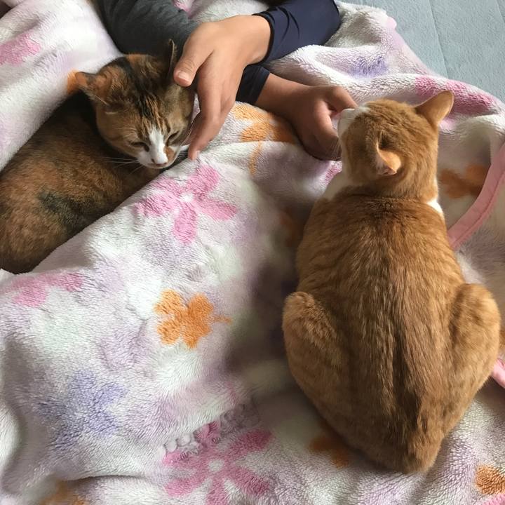 5aa10a16 bf6c 4155 9a6a 3dd835ead25e