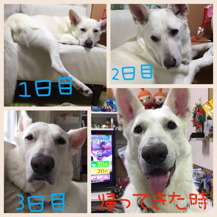 5aa1b471 7002 4014 8a54 492be2a9db6b