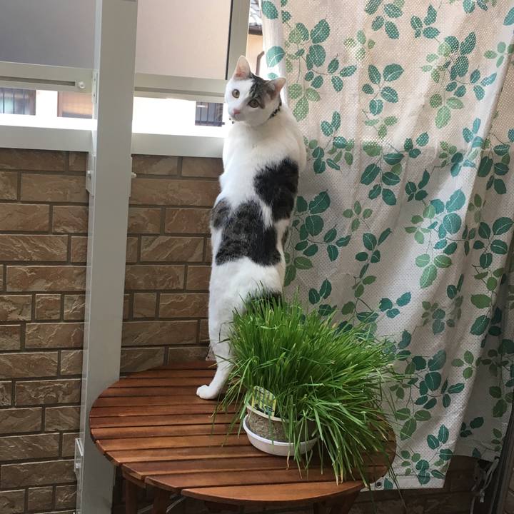 5aa34913 a563 4228 9489 fa3131f6207a