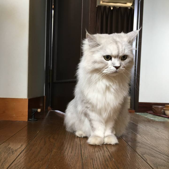 5aa3c87a 861e 4324 a6b0 95865dfa55f6