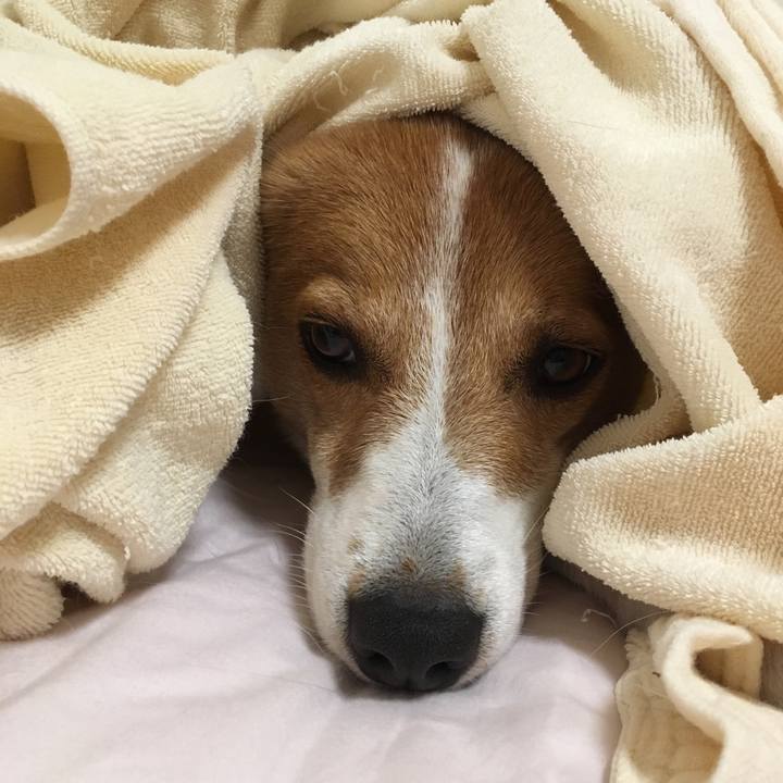 5aa4121d f9b1 4149 8d87 aedfe4887f2b