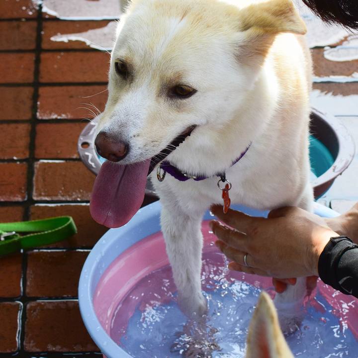 5aa425f2 dc4d 453d 9c36 1aa11f01fde4