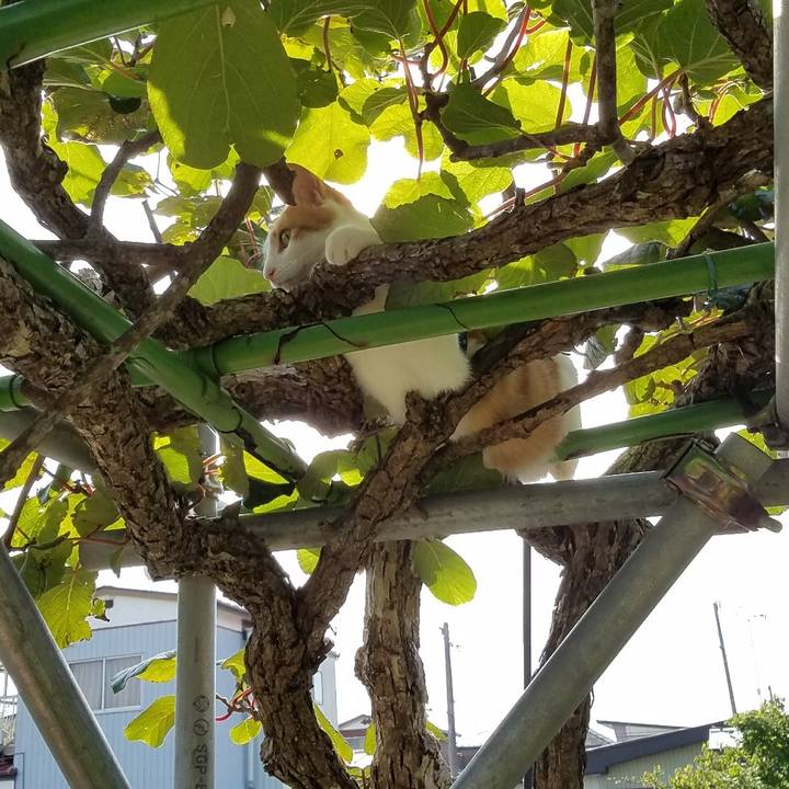 5aa49169 4ff2 4195 9c77 1295d3bc6139