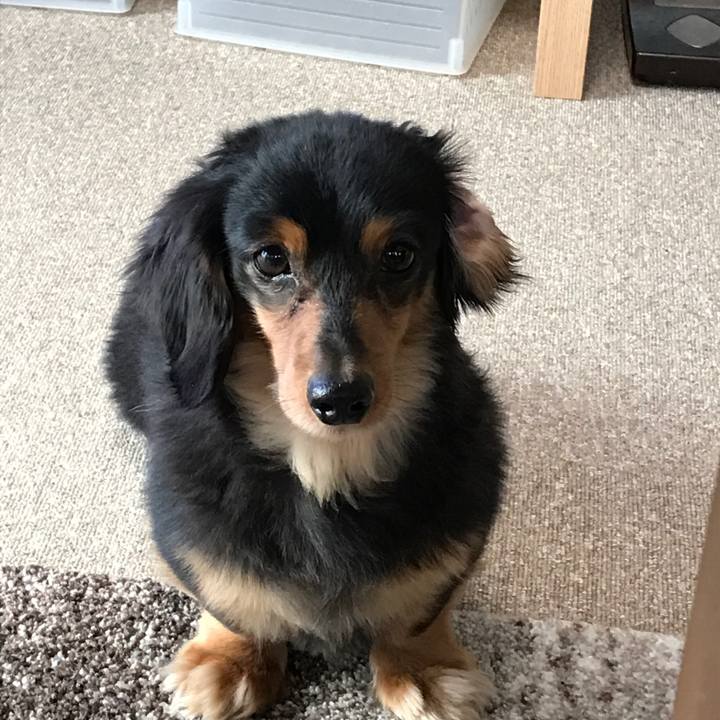 5aa4a298 5ad5 4d54 beae bb6625f2047e