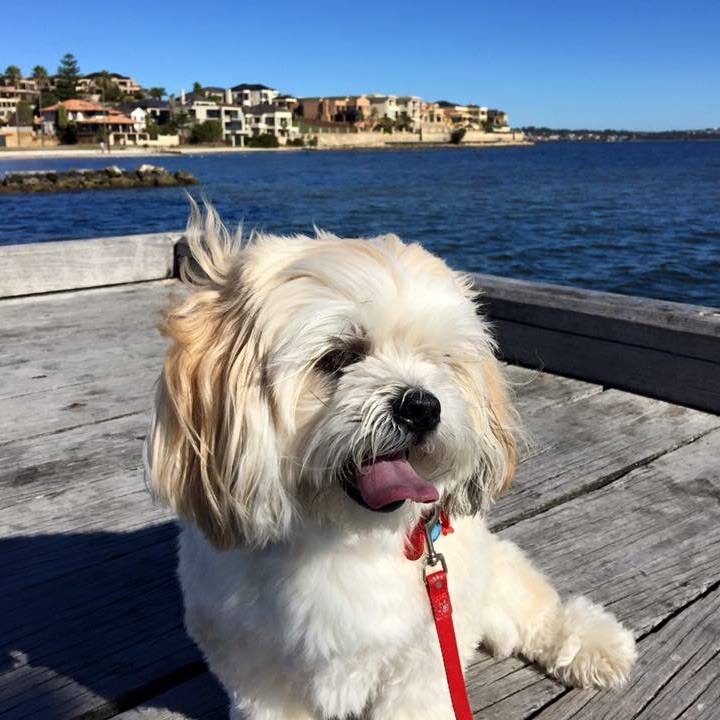 5aa4d0e8 e450 4aa1 8459 841ad561634a