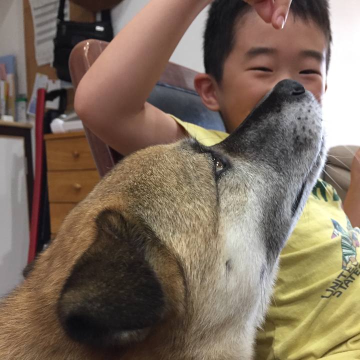 5aa54083 781d 411e b6b3 190148bf7e0a