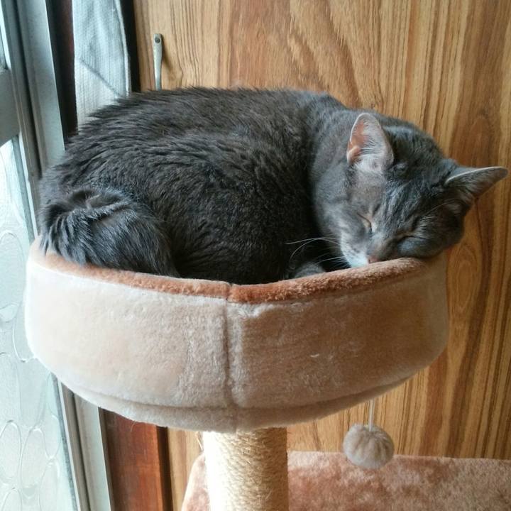 5aa5652a a35e 4d50 ab9c eab006a9056e