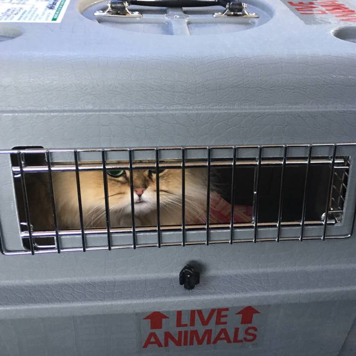 5aa568c1 76ec 49c0 b5cf 5d59f8315fb2