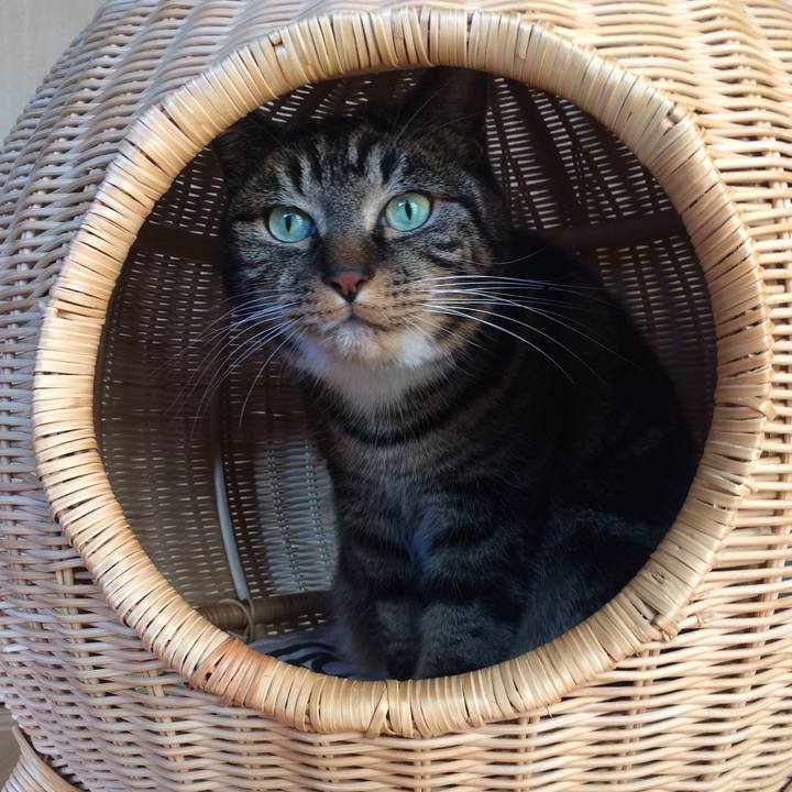 5aa57020 f93a 4d65 b6ed aeac622e515c