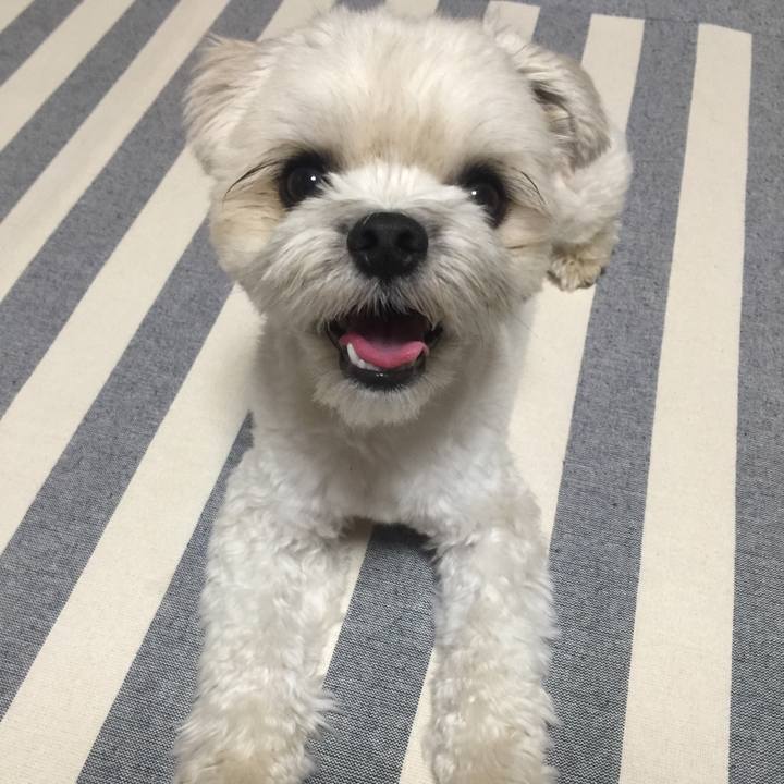 5aa5a02d b09f 4edb bc87 a2909c5acb60