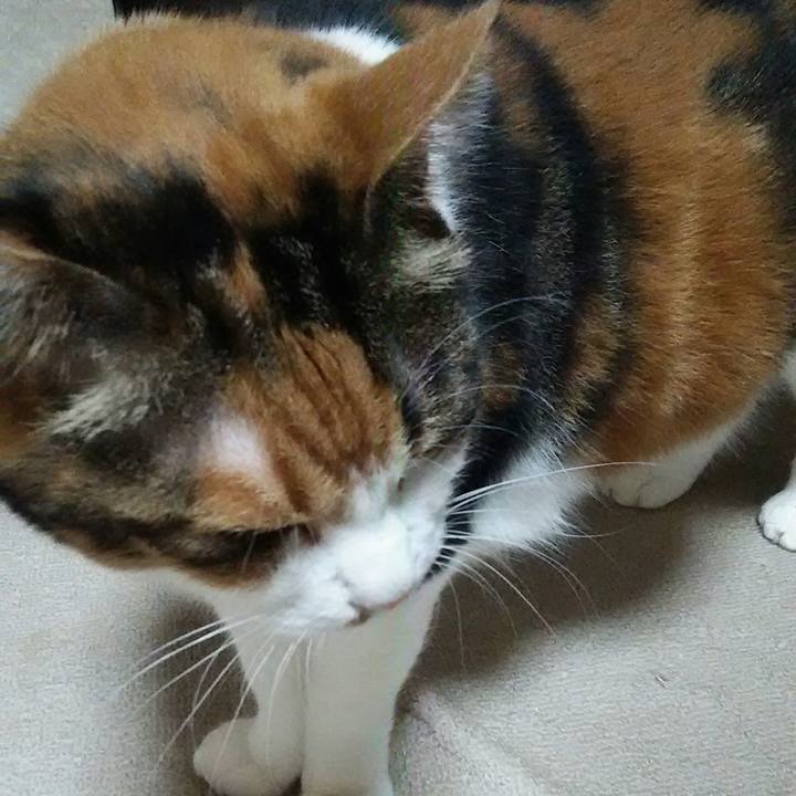 5aa604fd c0bf 487f 9fc2 9624ca015baf