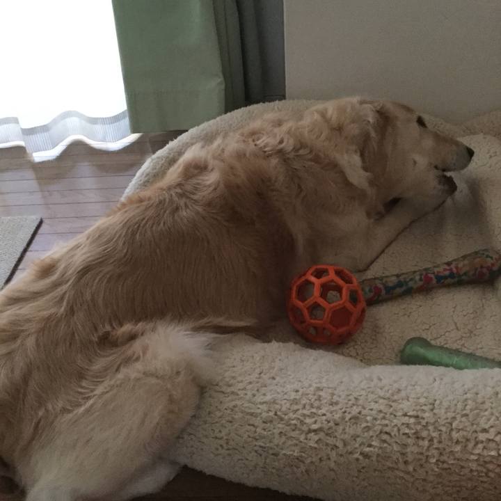 5aa64049 b8ab 48cd 8e4d 80f1e319ad15