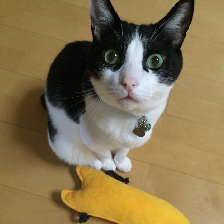 5aa69c60 f278 42dc 940c 0af2ed5b35be