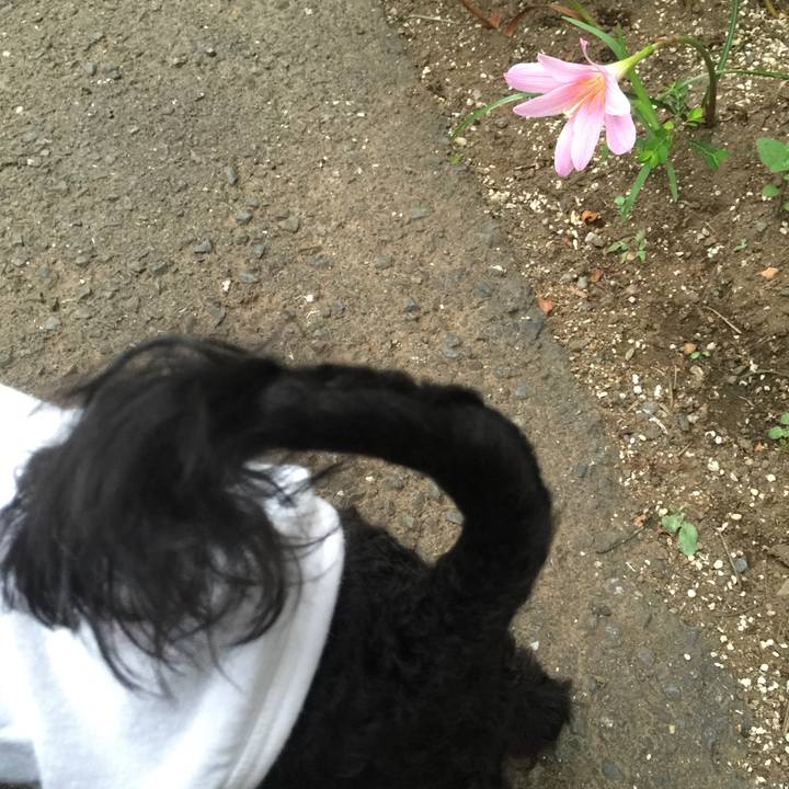 5aa71b1d cc37 4e28 88d6 4ce9d0ebda54