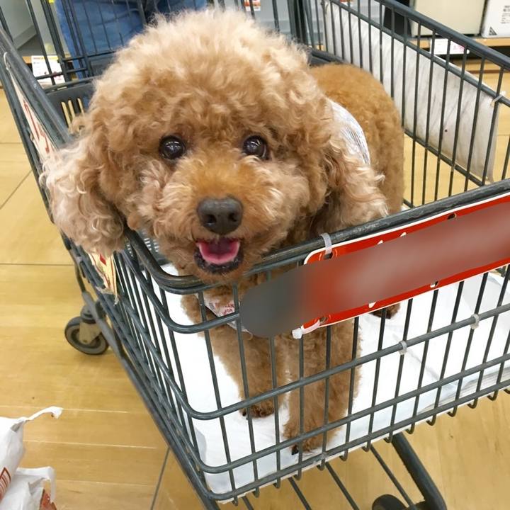 5aa770fa 66a7 41b9 ba3e 8ed57a55c0a0