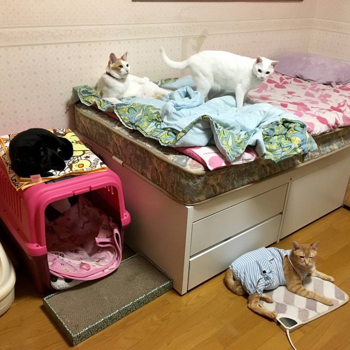 5aa8b0ff b3e1 4647 8854 e38c2f3ad515