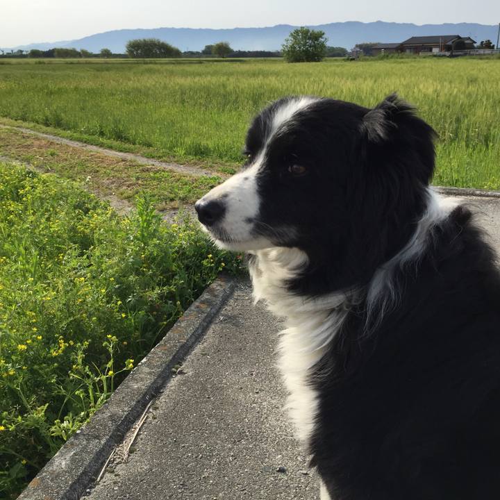 5aa96c11 05c1 4e45 88c7 f312db63676c