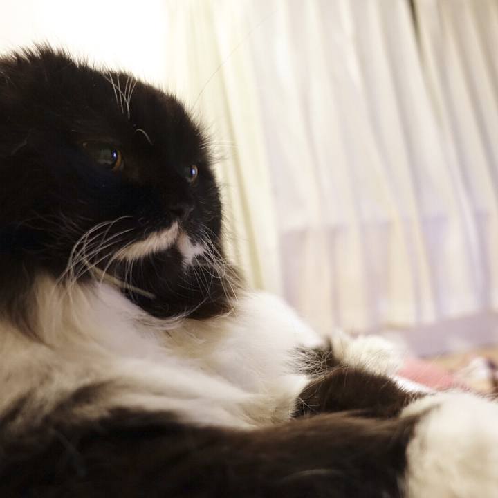 5aa9a1e2 4e14 466f a75d e25a8ab7726f