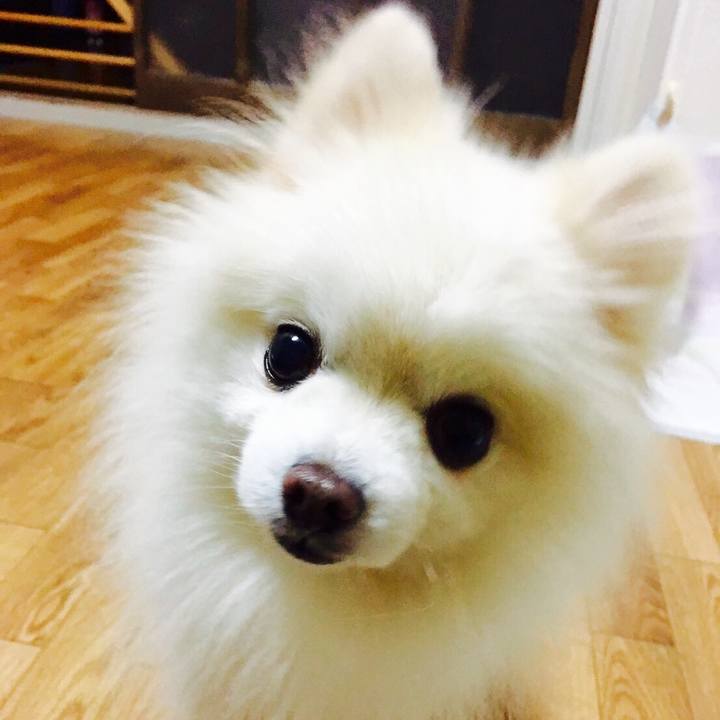 5aa9b849 90e2 4acf 977a 636bb043676f