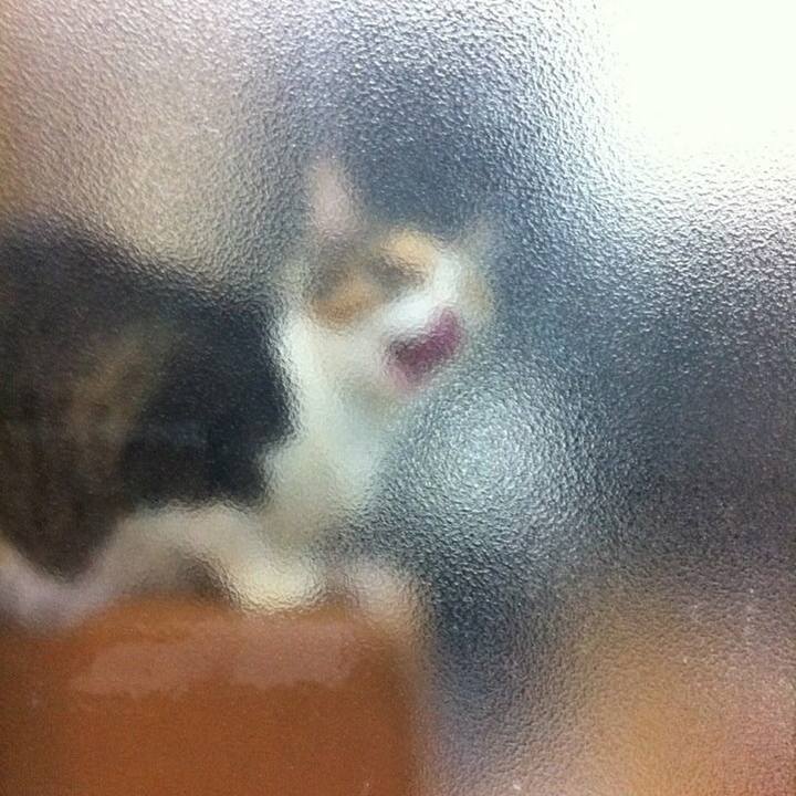 5aab4074 2327 4c15 895a 3451d8eff739