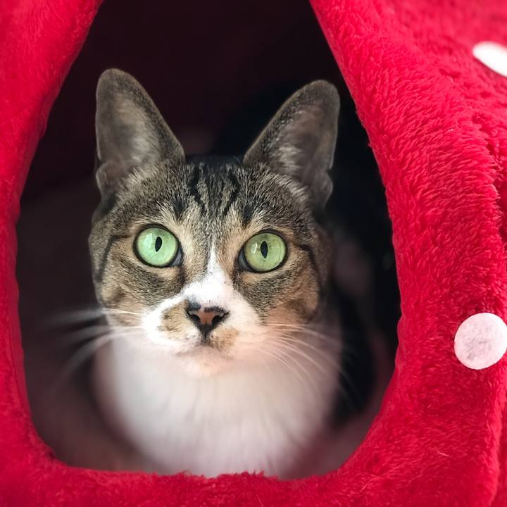 5aab7720 7ed0 4539 a863 5a4e92d84672