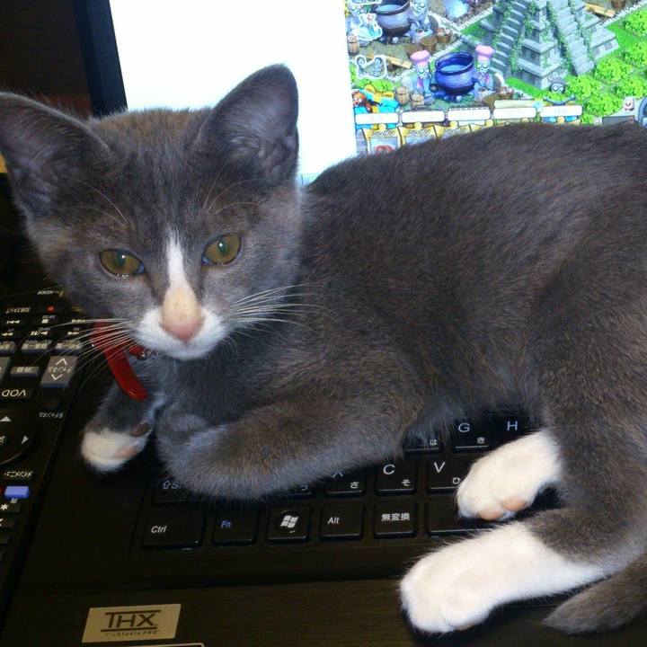 5aab89bf f852 4ac6 aa6c d3d447476e0a