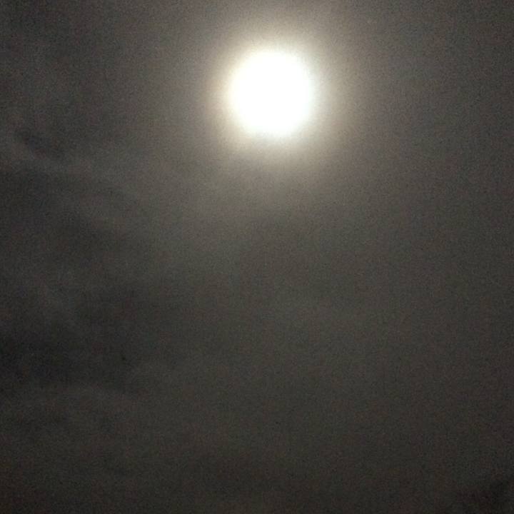 5aac222d 0cb2 4739 9e04 d3676d912b6c