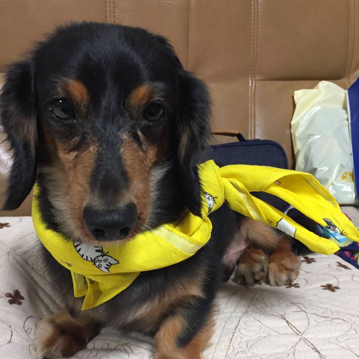 5aac96e8 efe2 4e2d 9b3b 34c09a68fb2c