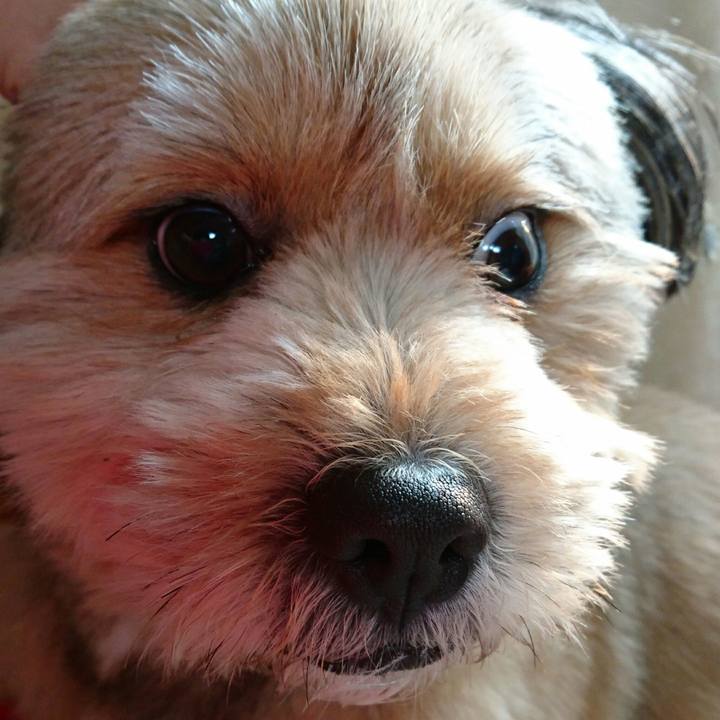 5aacc3d0 f1f3 47ea 8e03 8ef42cc22409