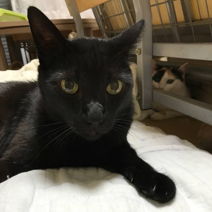 5aacc78c 9836 4cb8 a298 914d59545a42