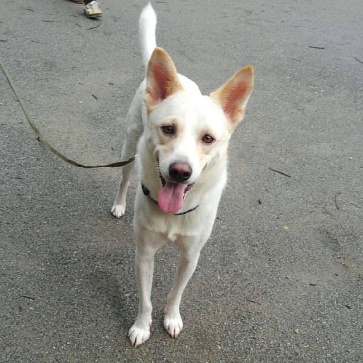 5aad1c4f 1433 4ed5 ae8d d7ae3653b882